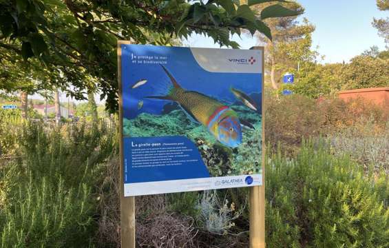 a8-exposition-aires-autoroute